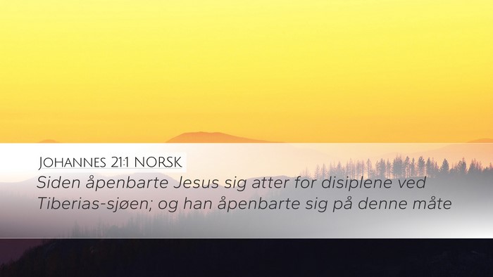 Johannes 21:1 NORSK Bible Verse Image
