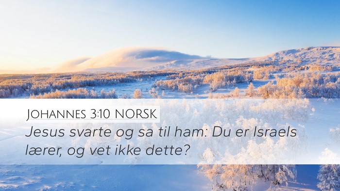 Johannes 3:10 NORSK Bible Verse Image