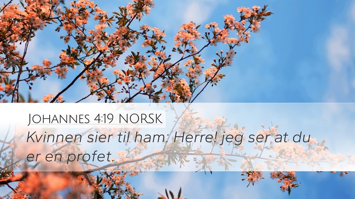 Johannes 4:19 NORSK Bible Verse Image
