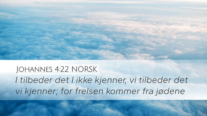 Johannes 4:22 NORSK Bible Verse Image