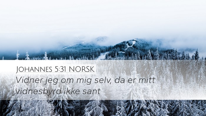 Johannes 5:31 NORSK Bible Verse Image