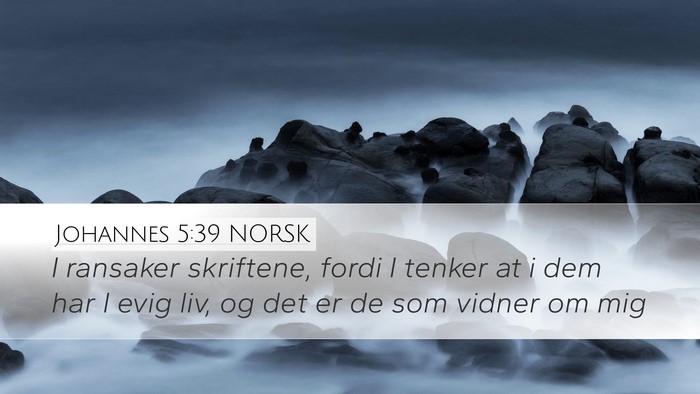 Johannes 5:39 NORSK Bible Verse Image