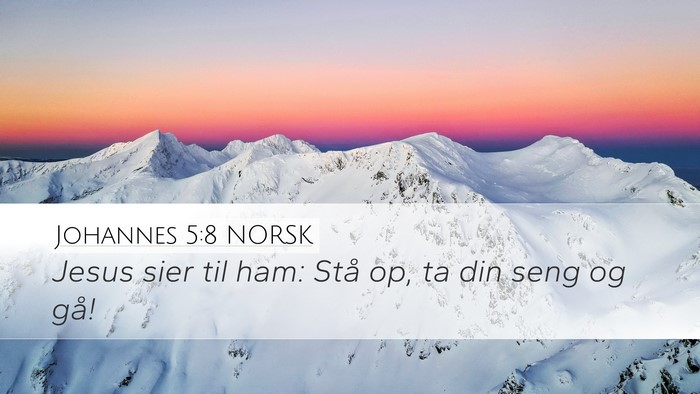 Johannes 5:8 NORSK Bible Verse Image