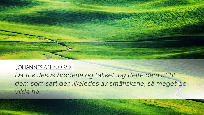 Johannes 6:11 NORSK Bible Verse Image