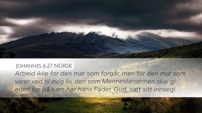 Johannes 6:27 NORSK Bible Verse Image