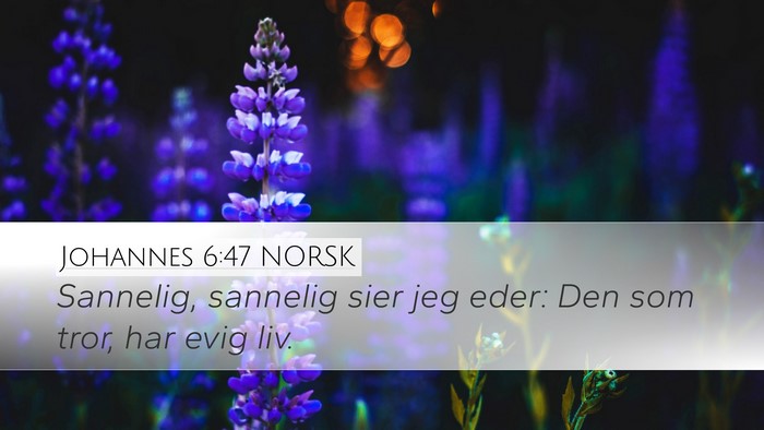 Johannes 6:47 NORSK Bible Verse Image