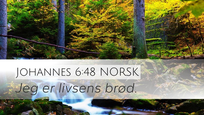 Johannes 6:48 NORSK Bible Verse Image