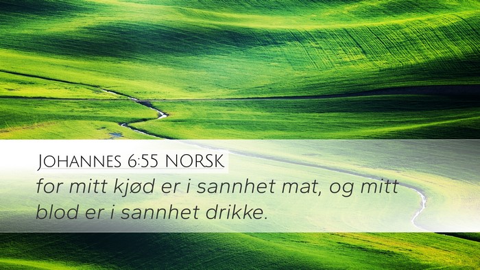 Johannes 6:55 NORSK Bible Verse Image
