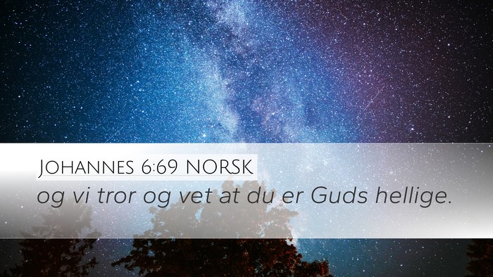 Johannes 6:69 NORSK Bible Verse Image