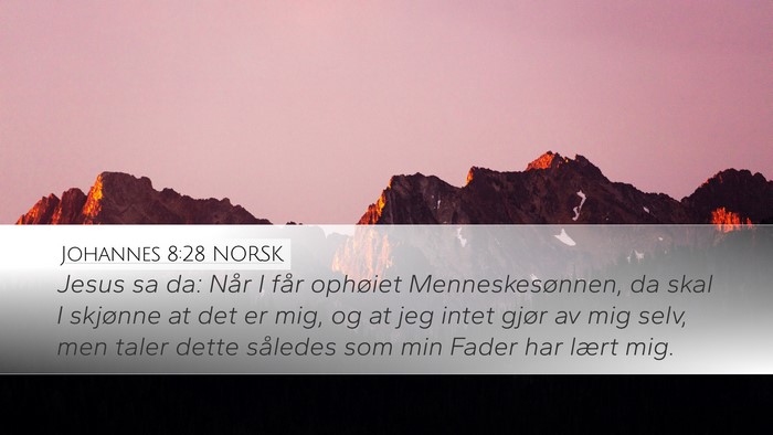 Johannes 8:28 NORSK Bible Verse Image
