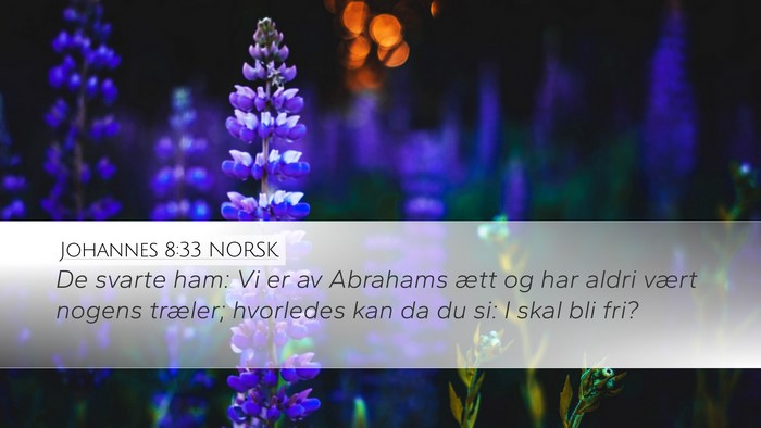 Johannes 8:33 NORSK Bible Verse Image