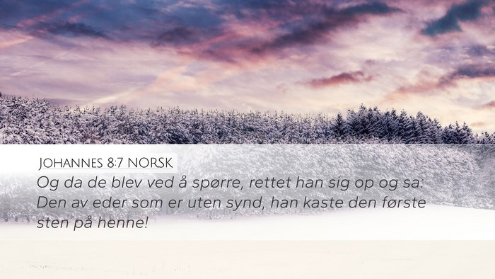Johannes 8:7 NORSK Bible Verse Image