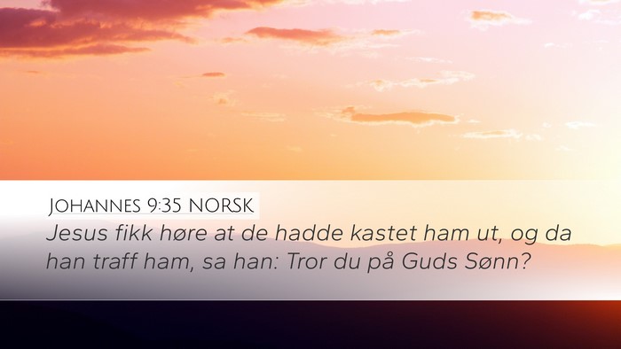 Johannes 9:35 NORSK Bible Verse Image