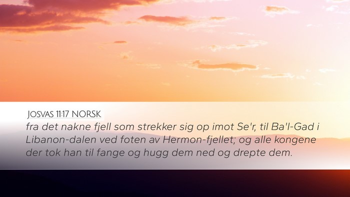 Josvas 11:17 NORSK Bible Verse Image