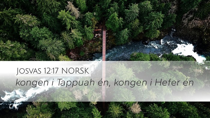 Josvas 12:17 NORSK Bible Verse Image