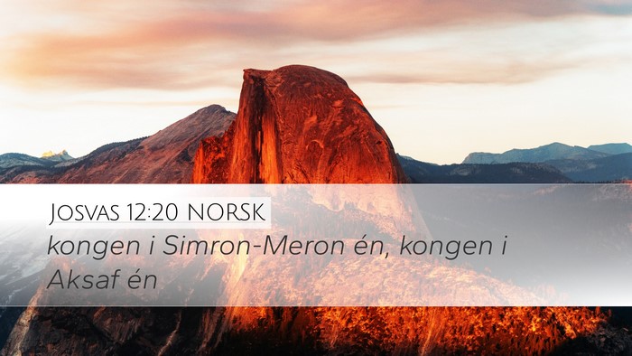 Josvas 12:20 NORSK Bible Verse Image