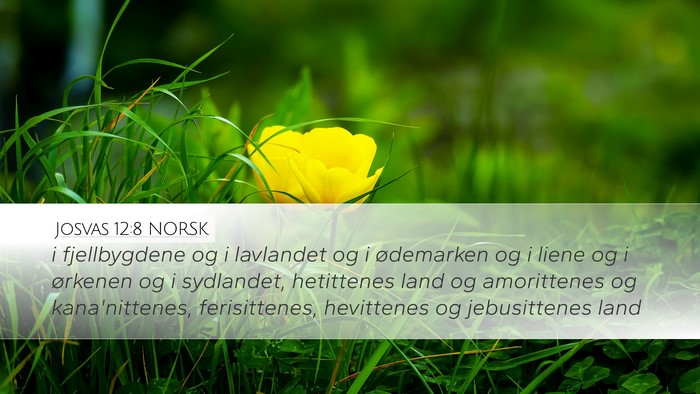 Josvas 12:8 NORSK Bible Verse Image