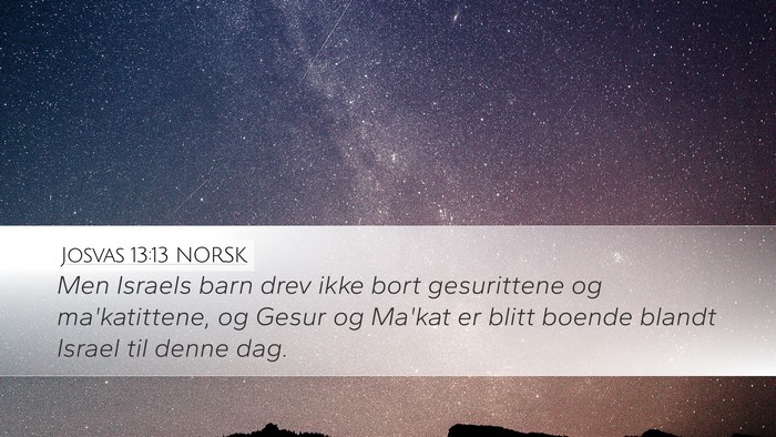 Josvas 13:13 NORSK Bible Verse Image