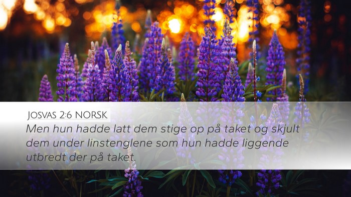 Josvas 2:6 NORSK Bible Verse Image