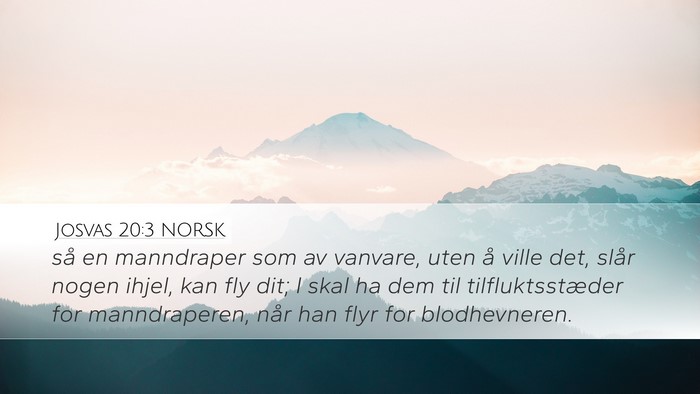 Josvas 20:3 NORSK Bible Verse Image