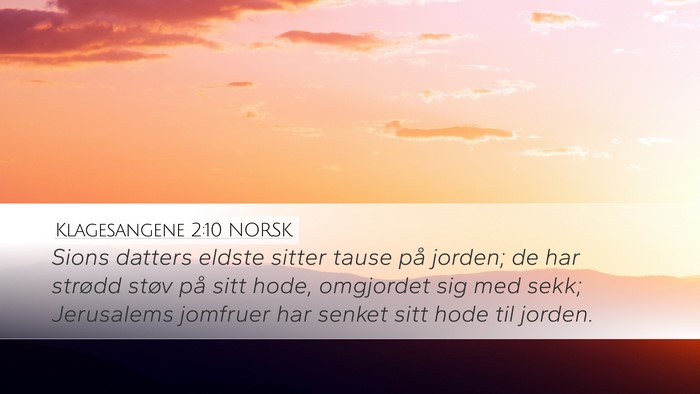 Klagesangene 2:10 NORSK Bible Verse Image