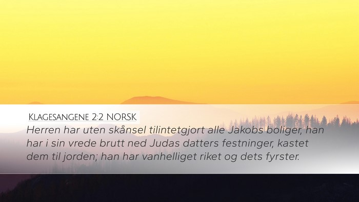 Klagesangene 2:2 NORSK Bible Verse Image