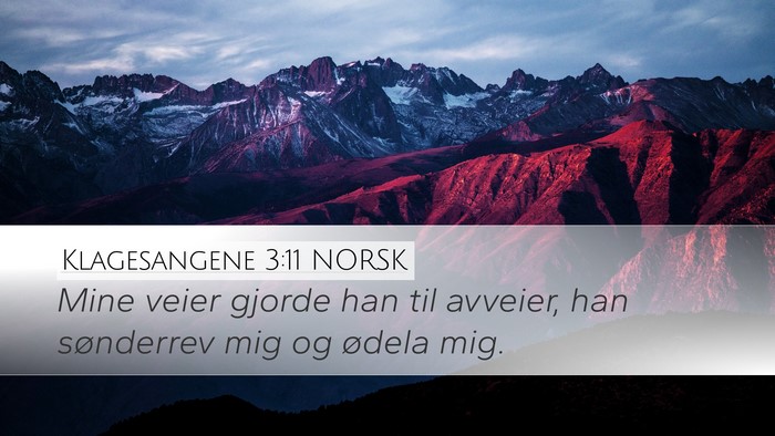 Klagesangene 3:11 NORSK Desktop Wallpaper - Mine veier gjorde han til avveier, han sønderrev - Desktop Bible Verse Wallpaper