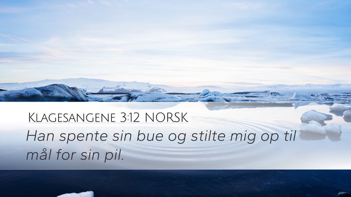 Klagesangene 3:12 NORSK Bible Verse Image