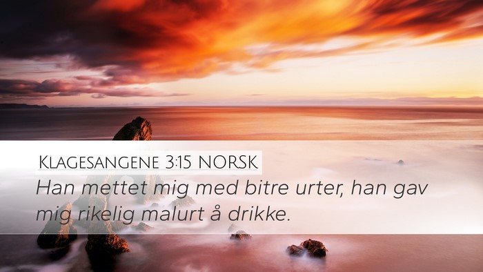 Klagesangene 3:15 NORSK Bible Verse Image
