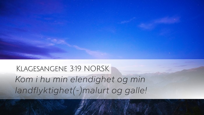 Klagesangene 3:19 NORSK Bible Verse Image