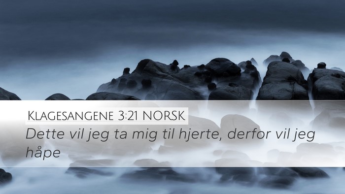 Klagesangene 3:21 NORSK Bible Verse Image