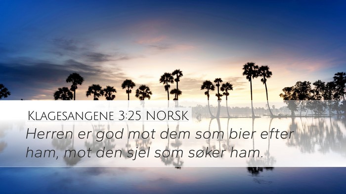 Klagesangene 3:25 NORSK Bible Verse Image