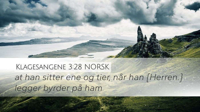 Klagesangene 3:28 NORSK Bible Verse Image