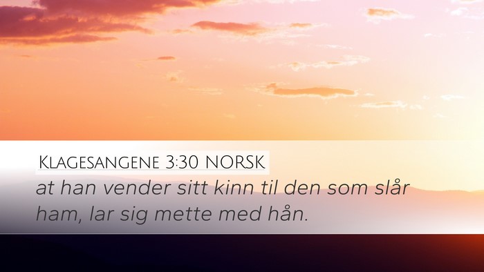 Klagesangene 3:30 NORSK Bible Verse Image