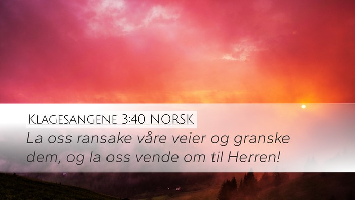 Klagesangene 3:40 NORSK Bible Verse Image