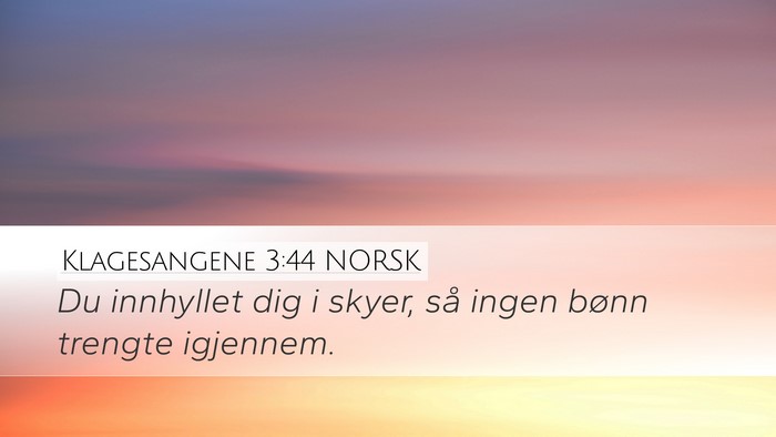 Klagesangene 3:44 NORSK Bible Verse Image