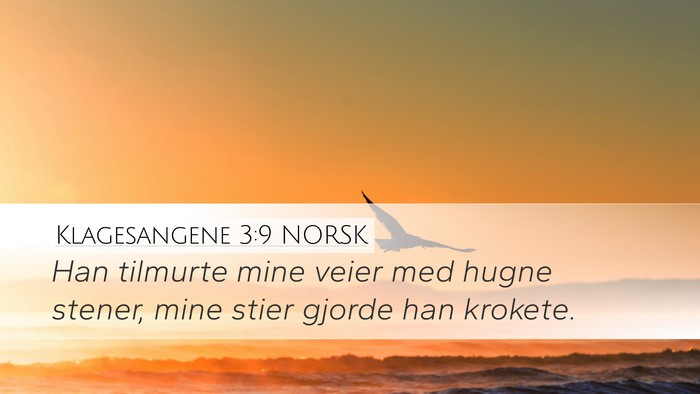 Klagesangene 3:9 NORSK Bible Verse Image