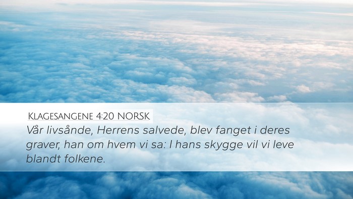Klagesangene 4:20 NORSK Bible Verse Image