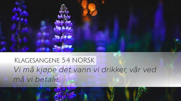 Klagesangene 5:4 NORSK Desktop Wallpaper - Vi må kjøpe det vann vi drikker, vår ved må - Desktop Bible Verse Wallpaper
