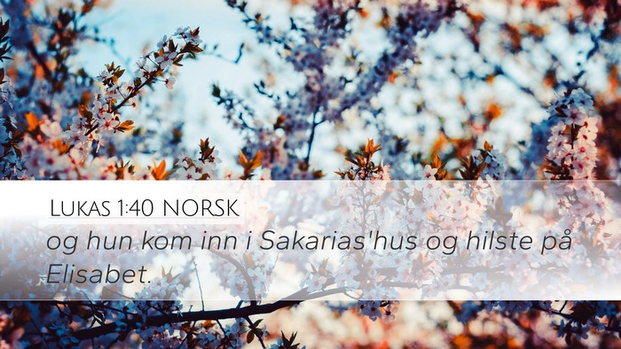 Lukas 1:40 NORSK Desktop Wallpaper - og hun kom inn i Sakarias'hus og hilste på - Desktop Bible Verse Wallpaper