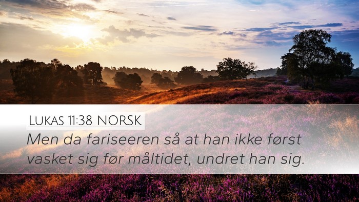 Lukas 11:38 NORSK Bible Verse Image