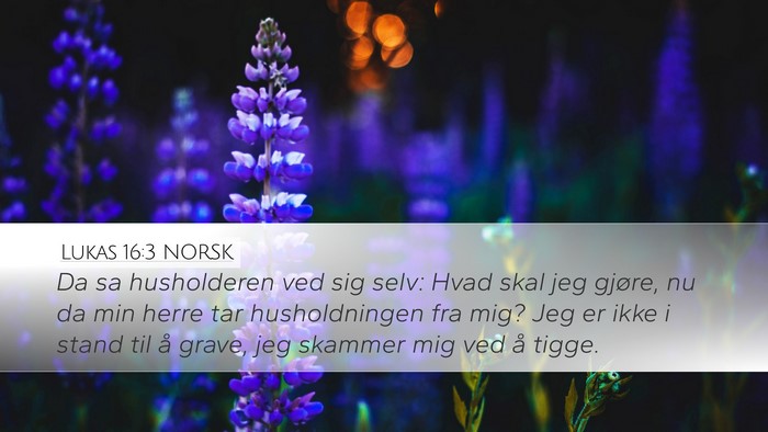 Lukas 16:3 NORSK Bible Verse Image