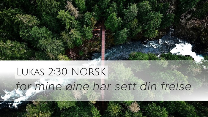 Lukas 2:30 NORSK Bible Verse Image