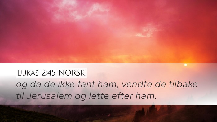 Lukas 2:45 NORSK Desktop Wallpaper - og da de ikke fant ham, vendte de tilbake til - Desktop Bible Verse Wallpaper