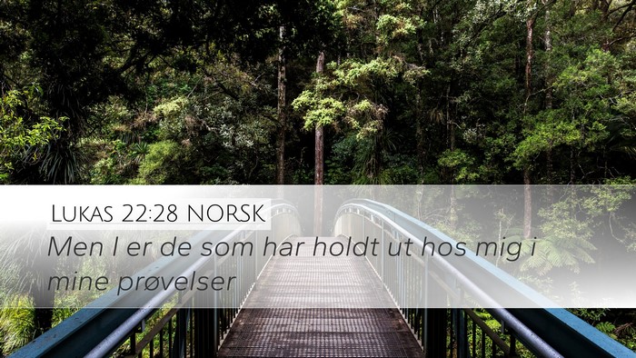 Lukas 22:28 NORSK Bible Verse Image
