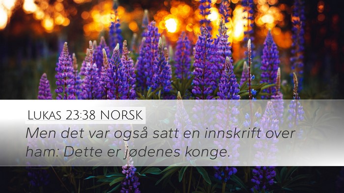 Lukas 23:38 NORSK Bible Verse Image