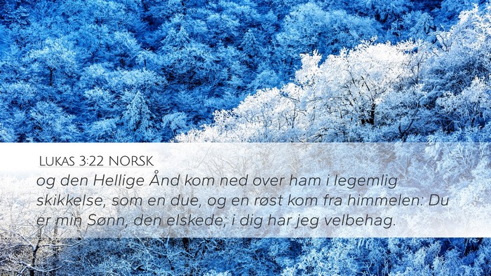 Lukas 3:22 NORSK Bible Verse Image