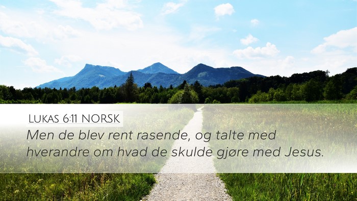 Lukas 6:11 NORSK Bible Verse Image