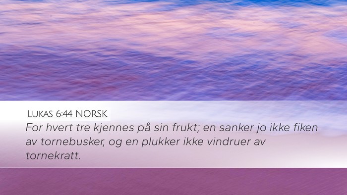 Lukas 6:44 NORSK Bible Verse Image
