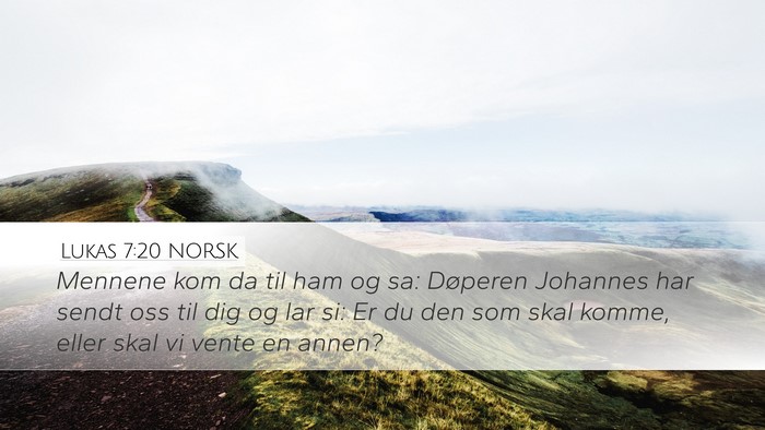 Lukas 7:20 NORSK Bible Verse Image